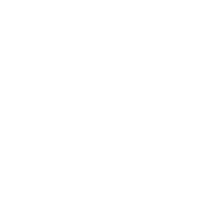 VT Logo
